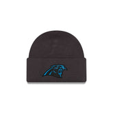 Carolina Panthers 2026 Sideline Cold Weather Skully Hat