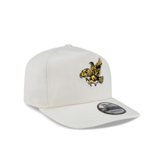 Iowa Hawkeyes Vault Chrome 19TWENTY Snapback Hat