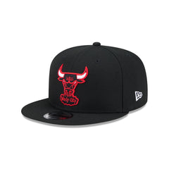 Chicago Bulls 1960-1970 Hardwood Classics 9FIFTY Snapback Hat