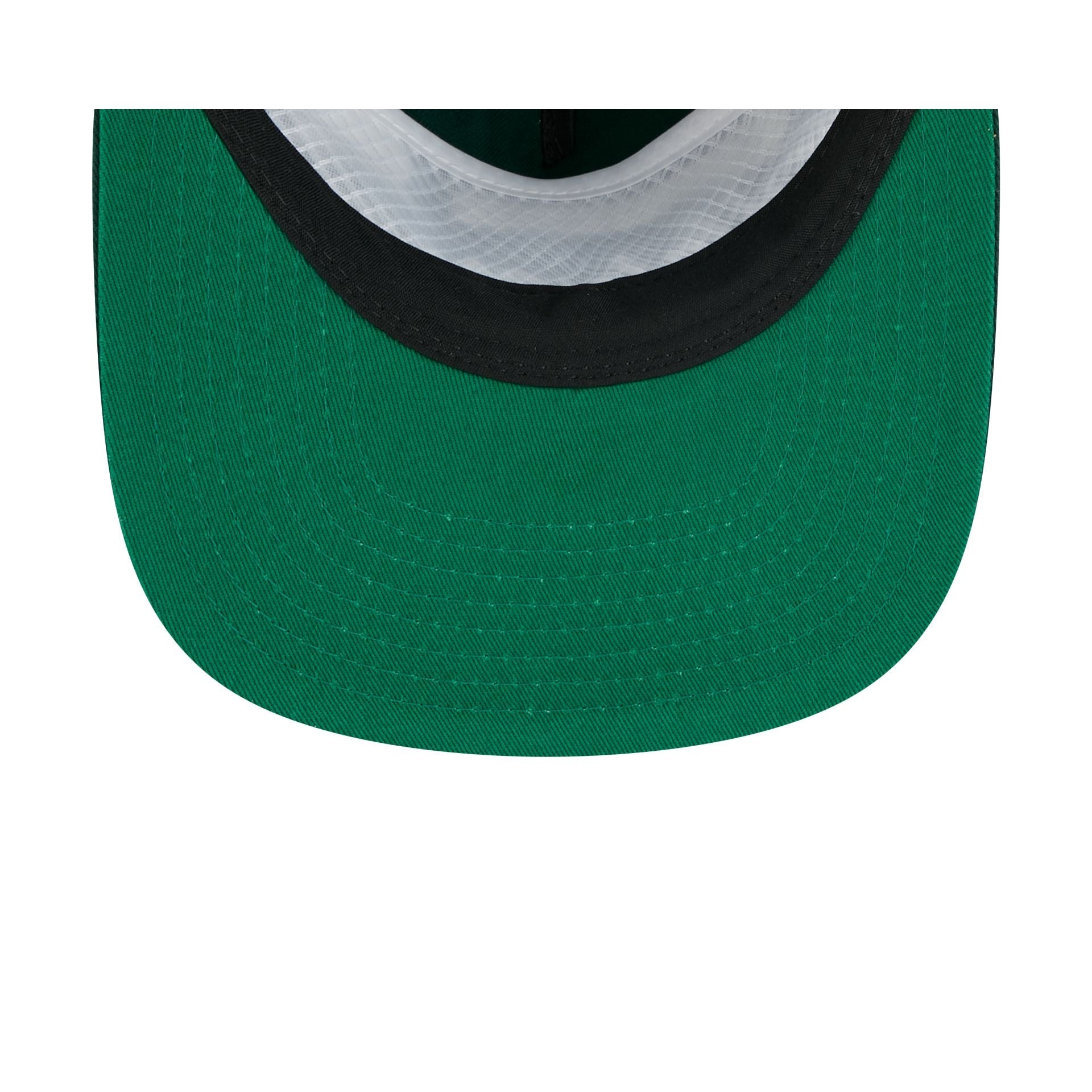 Michigan State Spartans Script 19TWENTY Snapback Hat