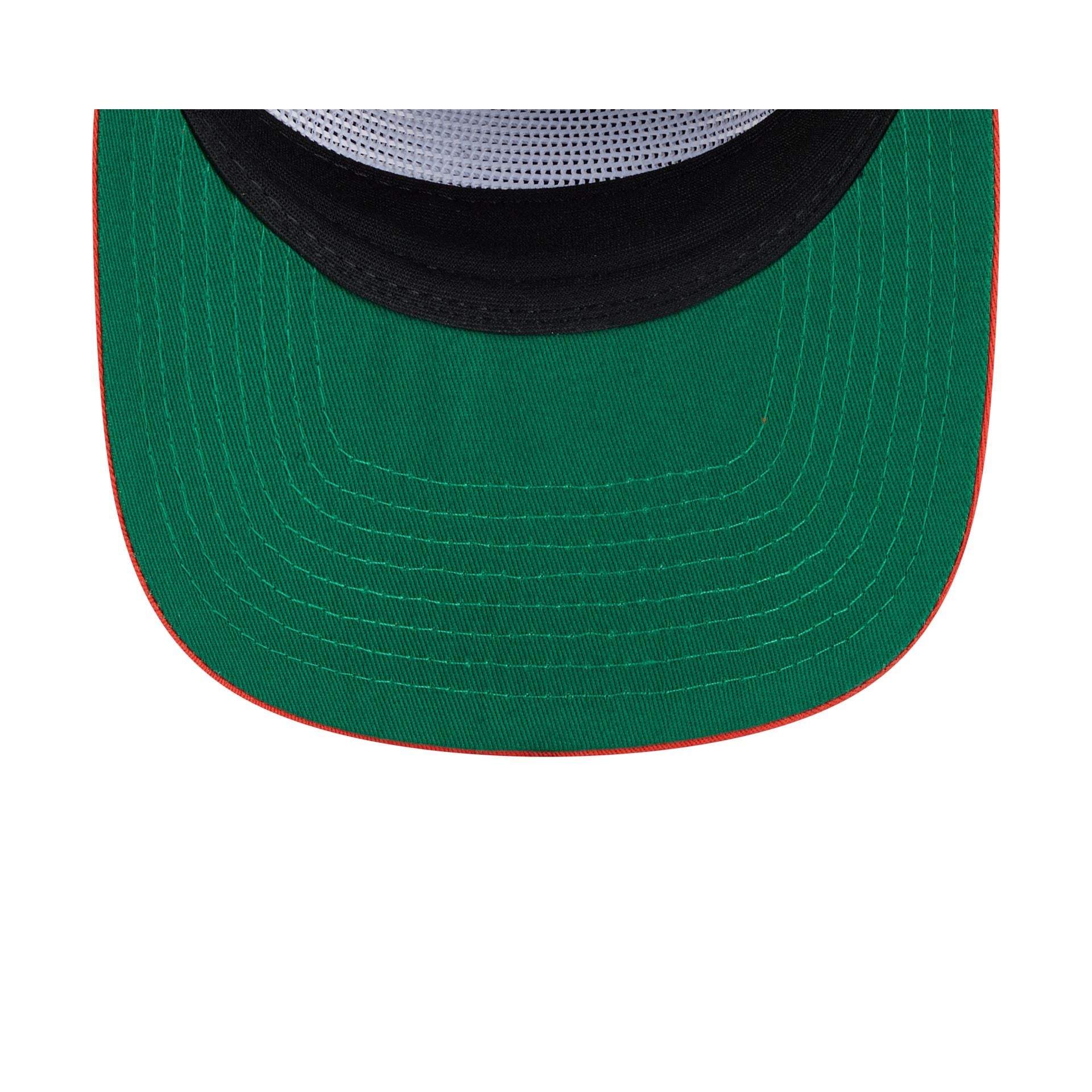 Anaheim Ducks Felt Logo 19TWENTY Adjustable Hat