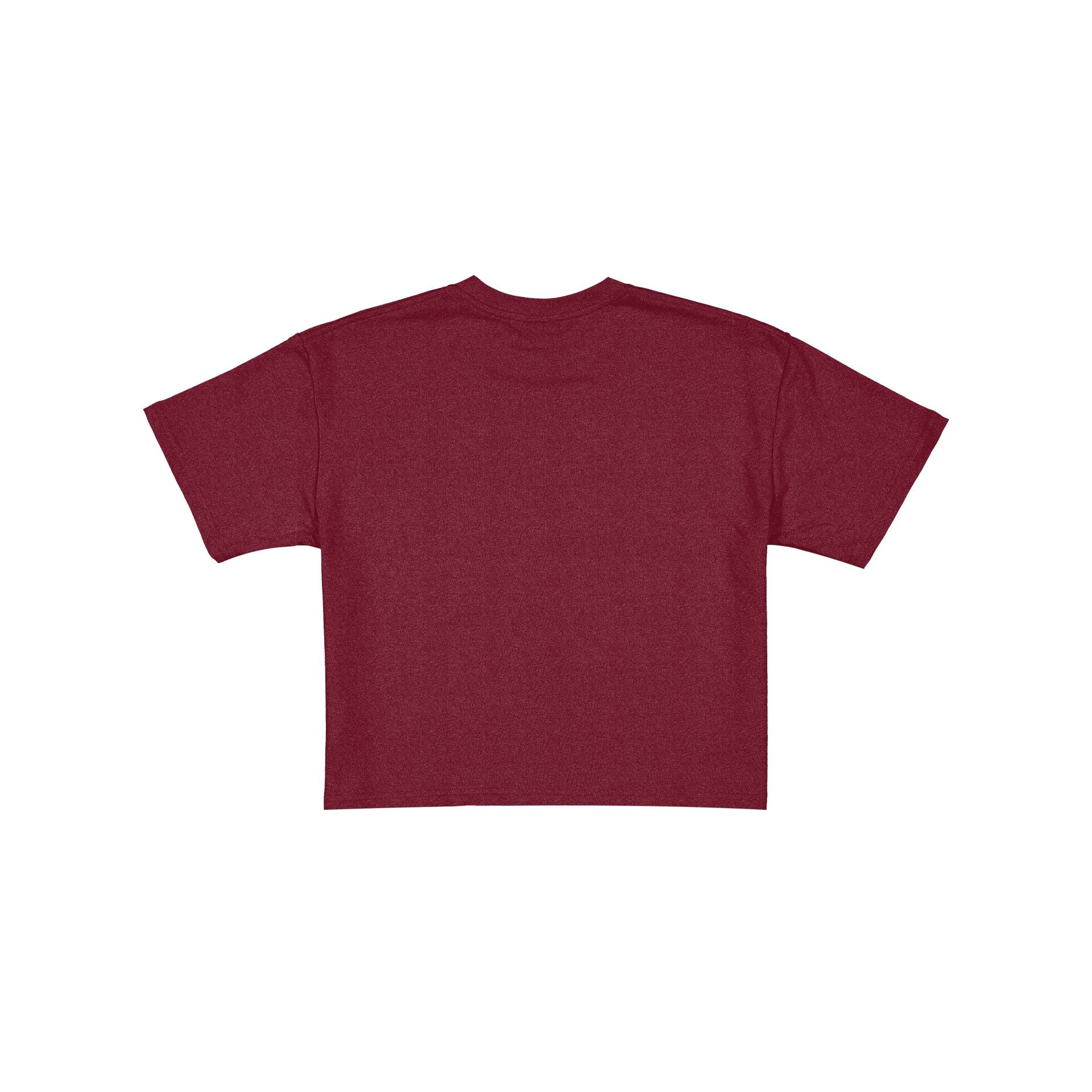 Florida State Seminoles Women's Throwback Cropped Graphic T-Shirt