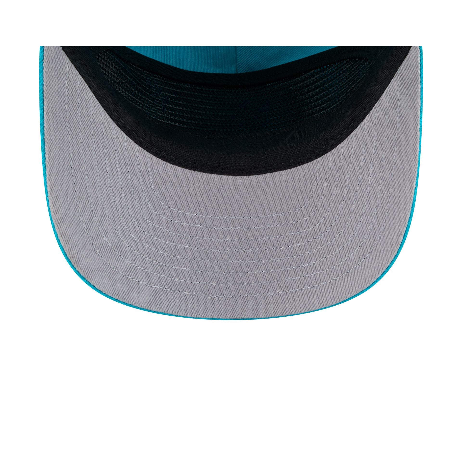 Charlotte Hornets Mesh 19TWENTY Trucker Hat