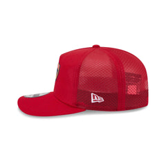 Florida Panthers Mesh 19TWENTY Trucker Hat
