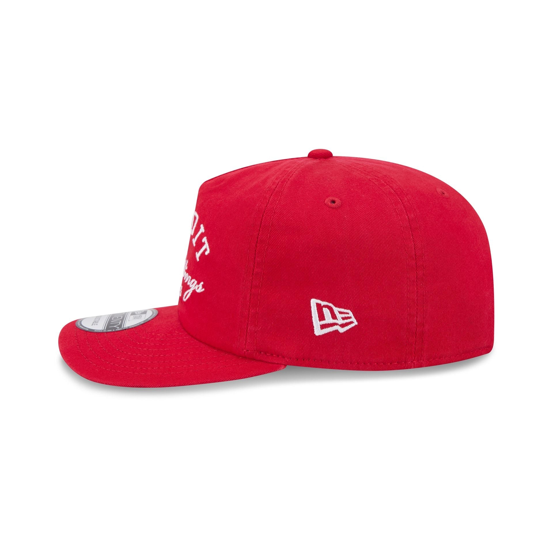 Detroit Red Wings Arched Graphic 19TWENTY Snapback Hat