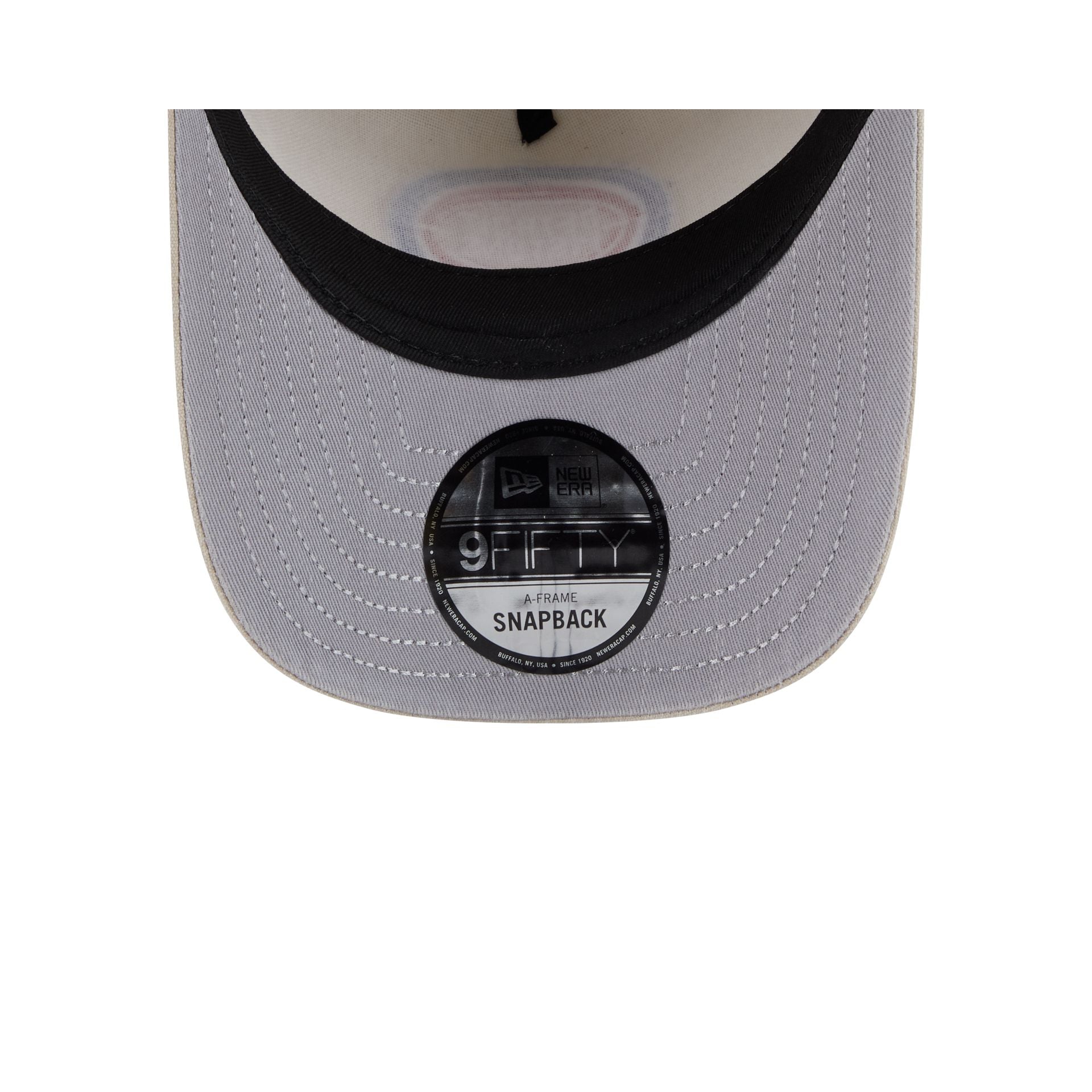 Detroit Pistons Brushed Cotton Stone 9FIFTY A-Frame Snapback Hat