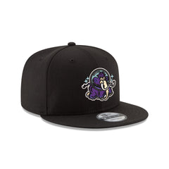 Erie Moon Mammoths 9FIFTY Snapback Hat