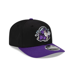 Erie Moon Mammoths Black 9SEVENTY Stretch-Snap Hat