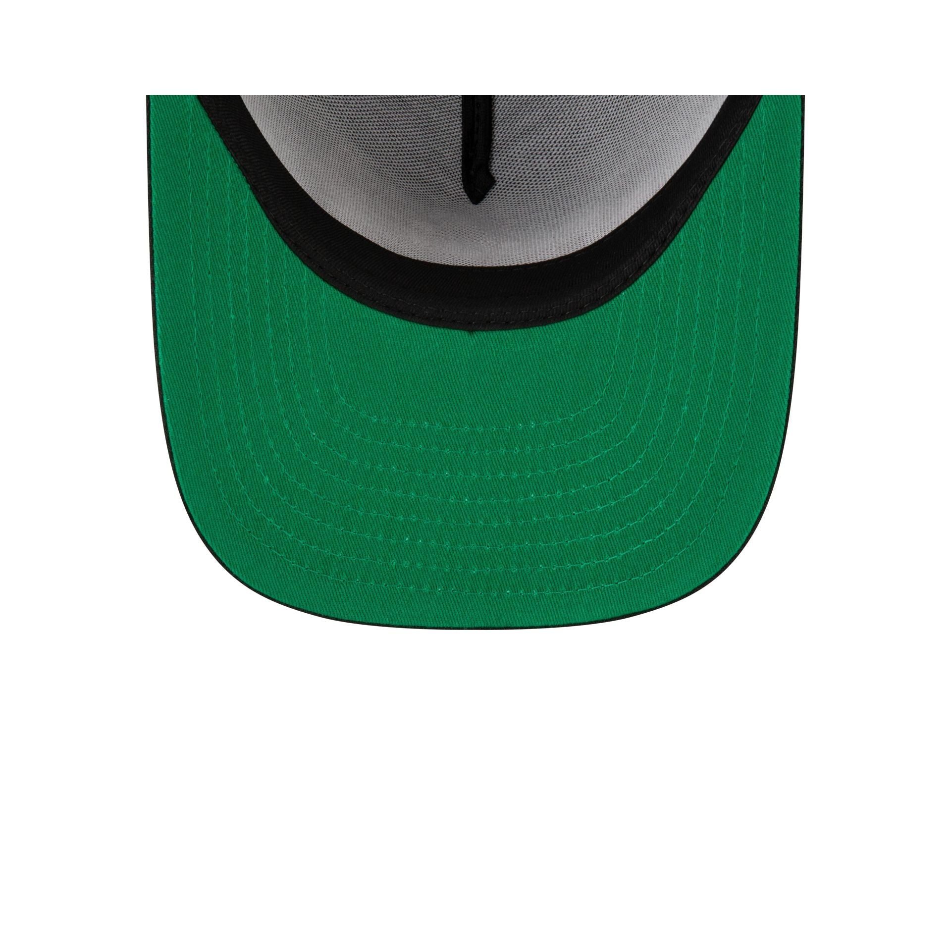 Born x Raised x Carolina Panthers Script Black 9FIFTY A-Frame Snapback Hat