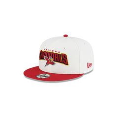 Disney x Arizona Cardinals Kids 9FIFTY Snapback Hat